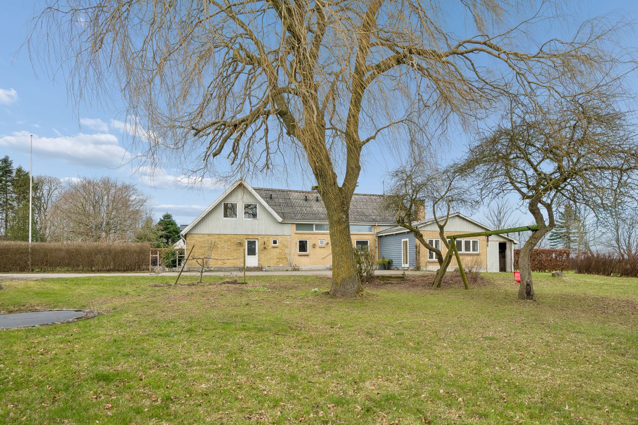 image 01